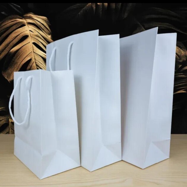 Kraft Paper Bags